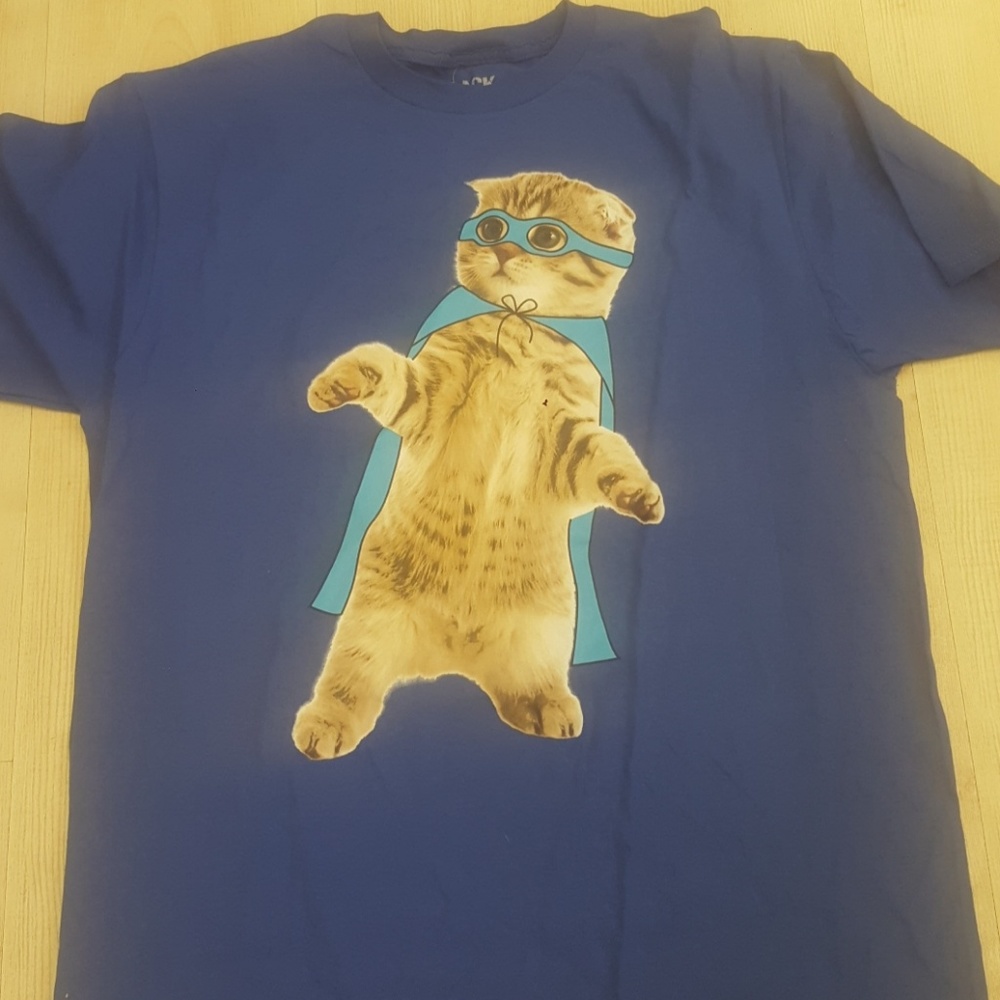 Cool Cat 🐈 - Picture 1 of 1